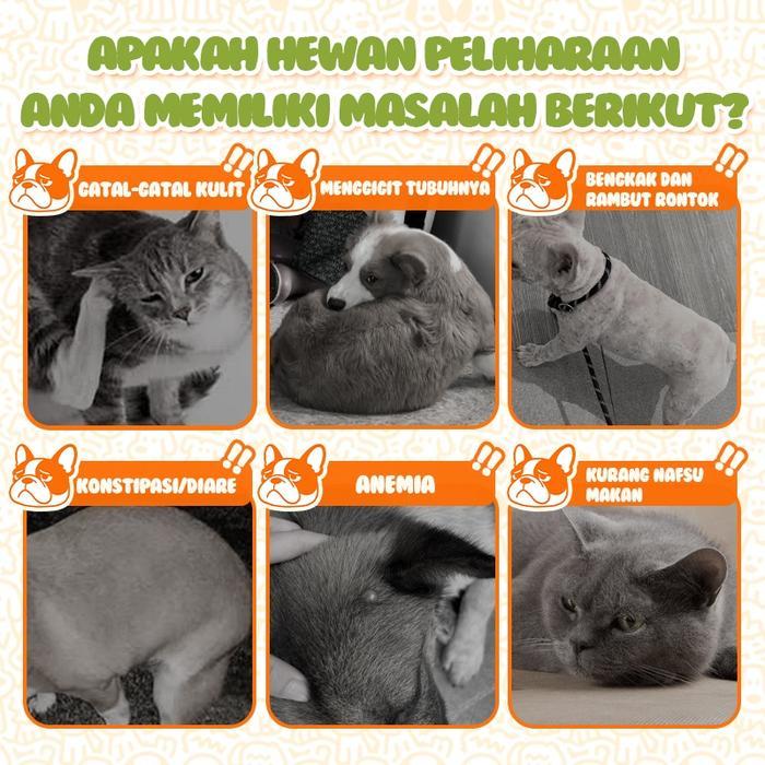 Lariss Maniss Cassiel Pet Anti Kutu Anjing/Kucing - Obat Kutu Kucing Hamil, Aman Terjilat Obat
