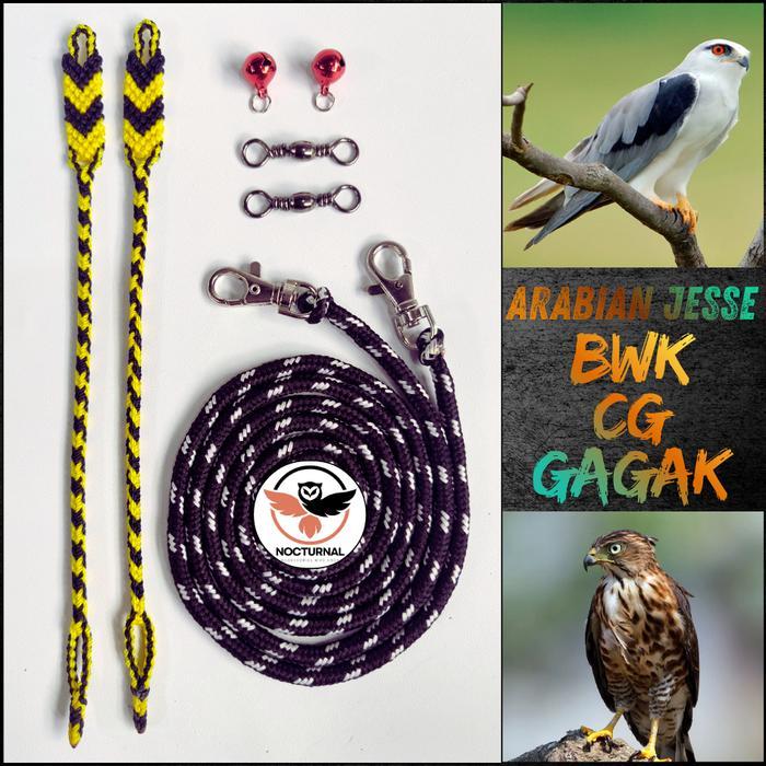Sale Arabian Jesse Burung Hantu Dan Elang Alap-Alap Cg Bwk Gagak Java Owlet Tali Angklet/Anklet