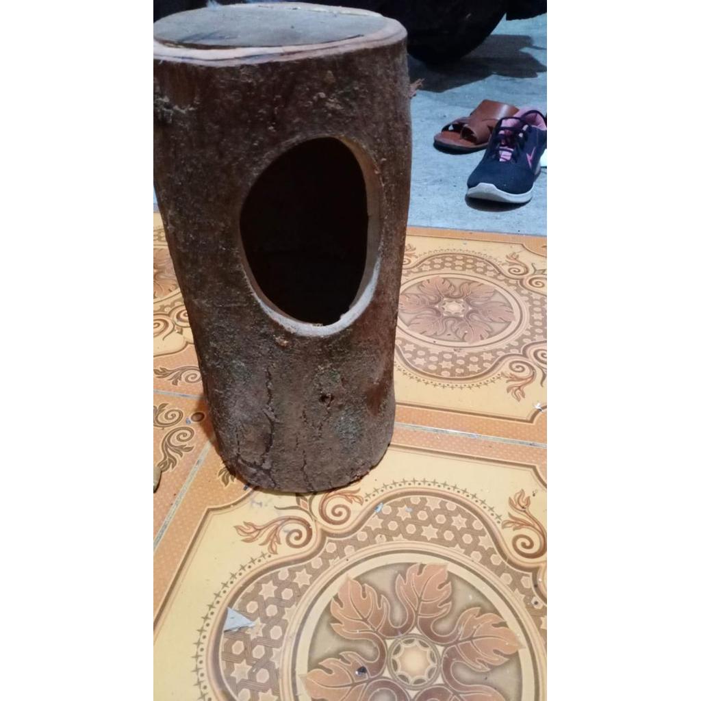 ASLI GLODOK TERNAK NG POHON SARANG BURUNG MURAI KACER CUCAK IJO DLL READY STOCK