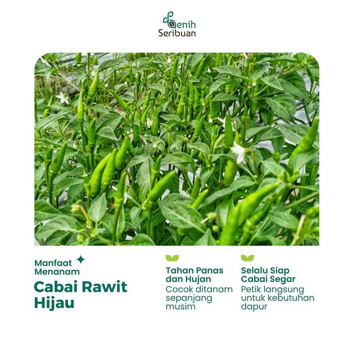BERKUALITAS 35 Benih Cabai Rawit Hijau F1 Unggul Cabe - Benih Sayuran Seribuan
