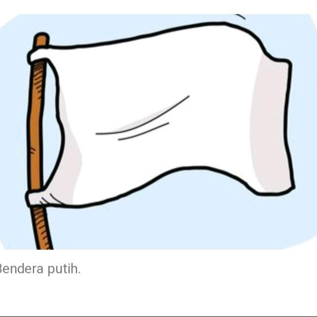 bendera putih, bendera polos putih,bendera kain
