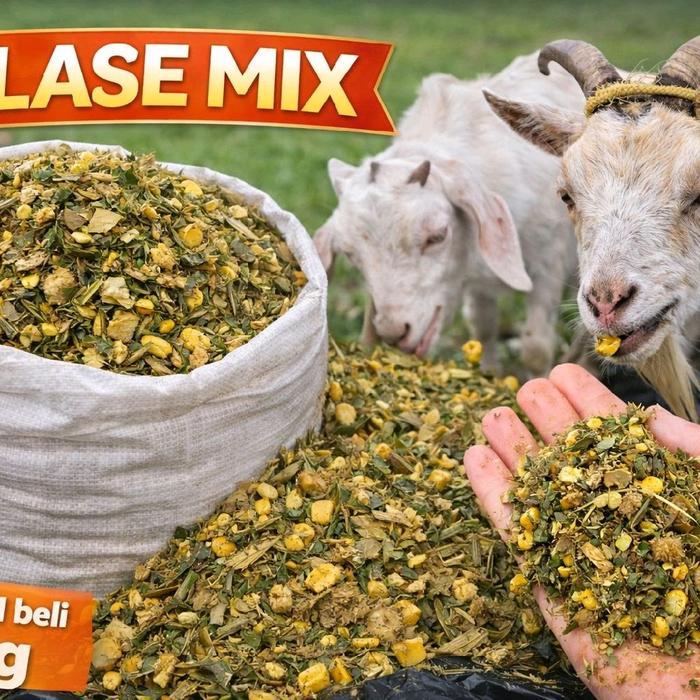 SILASE MIX PREMIUM/Pakan kambing sapi domba fermentasi/pakan kambing praktis kemasan 5kg