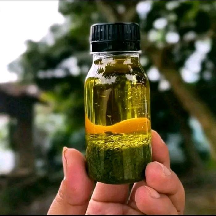 Minyak Dabun Alvino Tradisional Oles Original