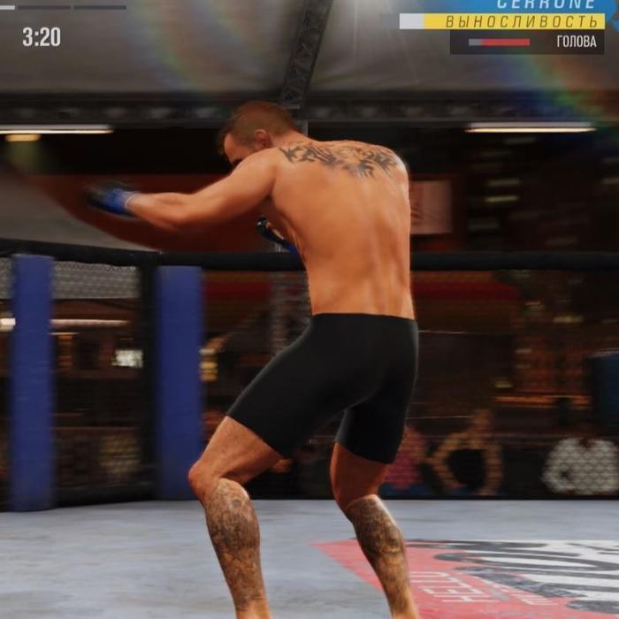 UFC 4 PS4 EA Sports UFC 4 PS4 UFC4 PS4 Game PS4 BD PS4 CD PS4