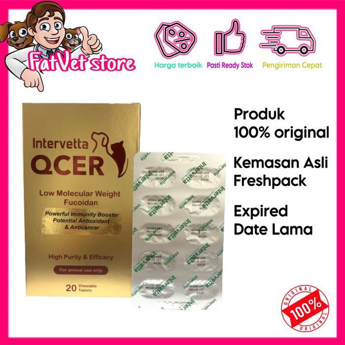 Intervetta Qcer Obat Tablet Kanker Tumor Anjing Kucing Murah