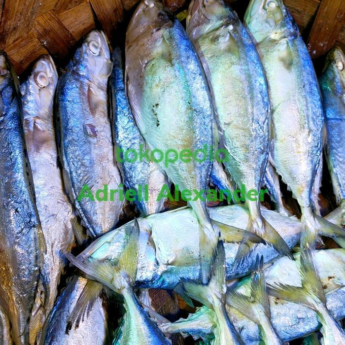 Ikan Gembung/Kembung Rebus Medan Pasti Promo