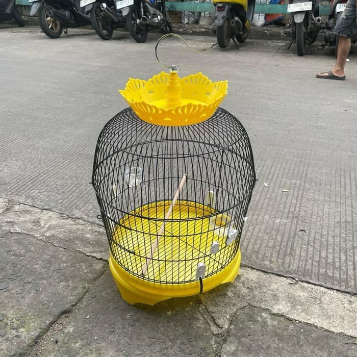 Kandang Sangkar Puter Tekukur Derkuku Jeruji Besi