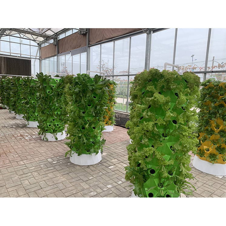 Water-saving Irrigation Vertical Pineapple Tower Hydroponic Growing Cultivation Machinery Greenhouse