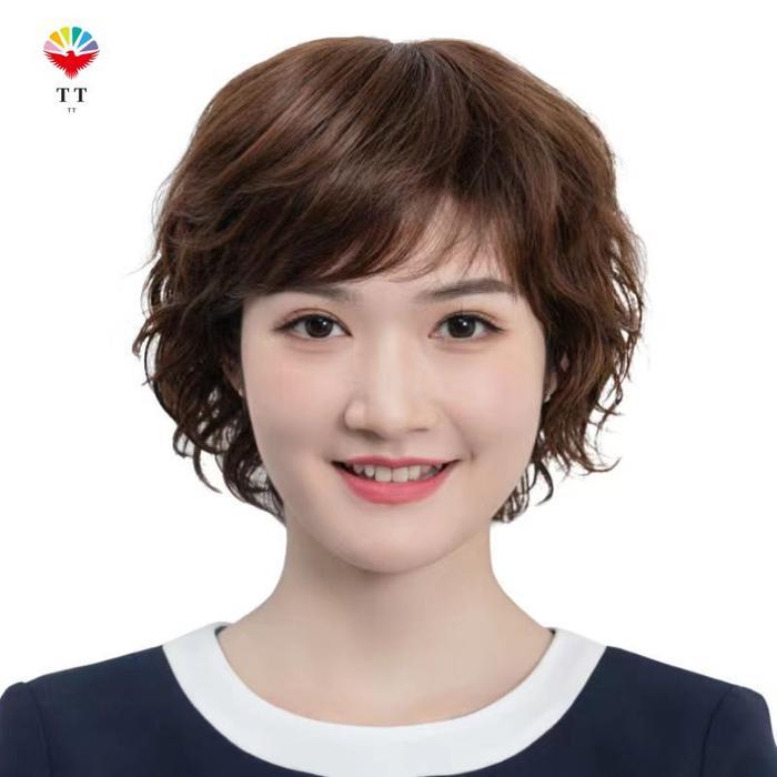 Wig Rambut Pendek Wig Wanita Wig Rambut Keriting Pendek Set Wig Ibu Paruh Baya Dan Lanjut Usia Tbk