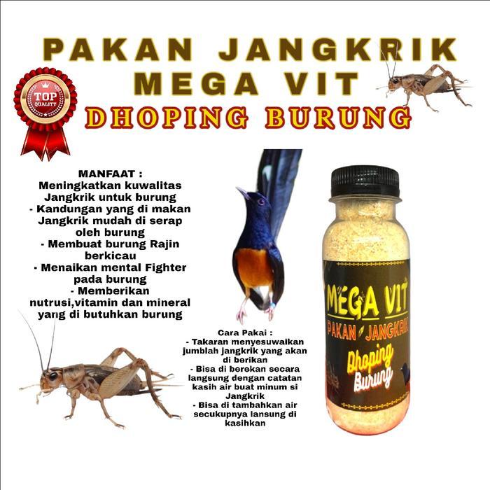 SIAPKIRIM Pakan Jangkrik Pakan Burung Dhoping burung yang di suspensikan melalui jangkrik Burung