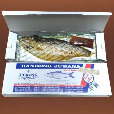 Ikan Bandeng Presto Juwana Duri Lunak Bandeng Juwana Erlina Semarang Diskon Sale