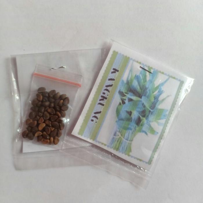 TERBARU Paket benih sayuran daun [ratusan benih]/Paket benih sayuran daunan
