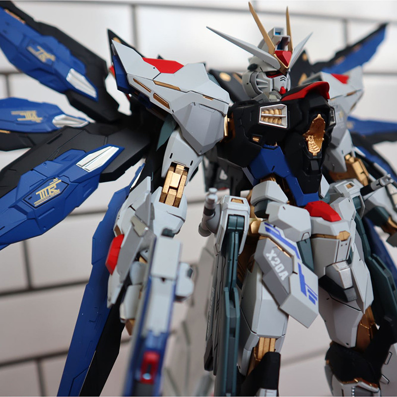 Daban 8802 Strike Freedom MG 1/100 Assembly Model Action Toy Figure Robot Assembled Model Set