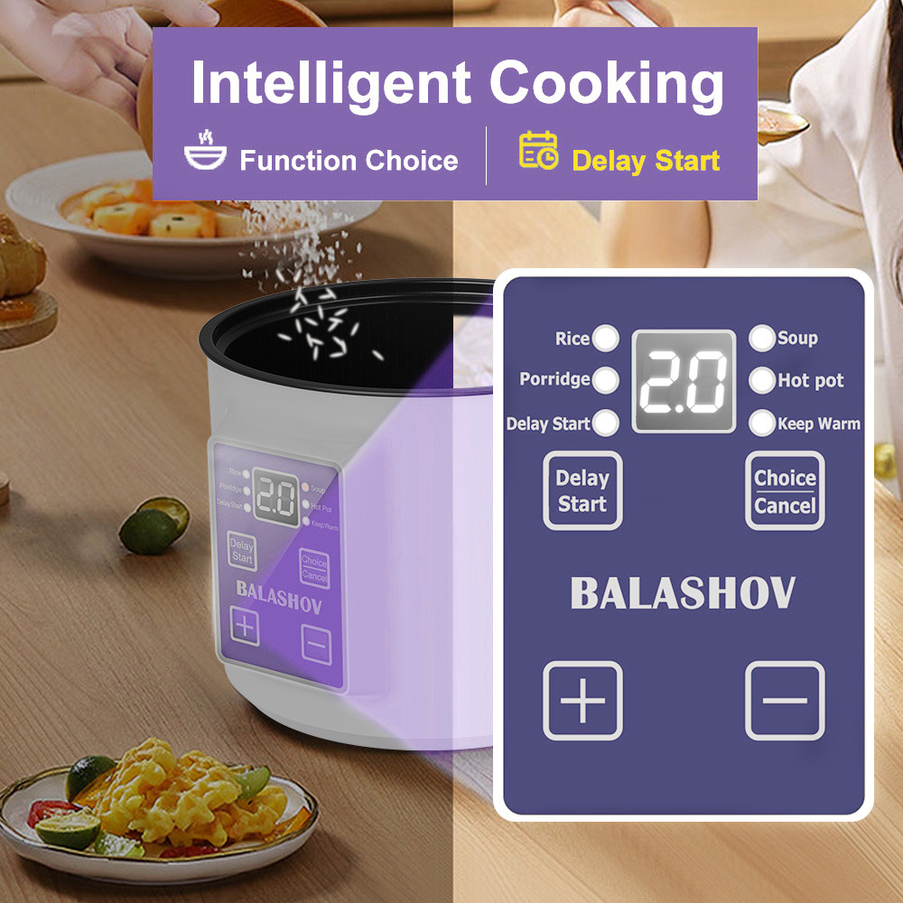 Mini Electric Rice Cooker Double Layer Multi Cooker Non-Stick Smart MultiCooker Electric Cooker