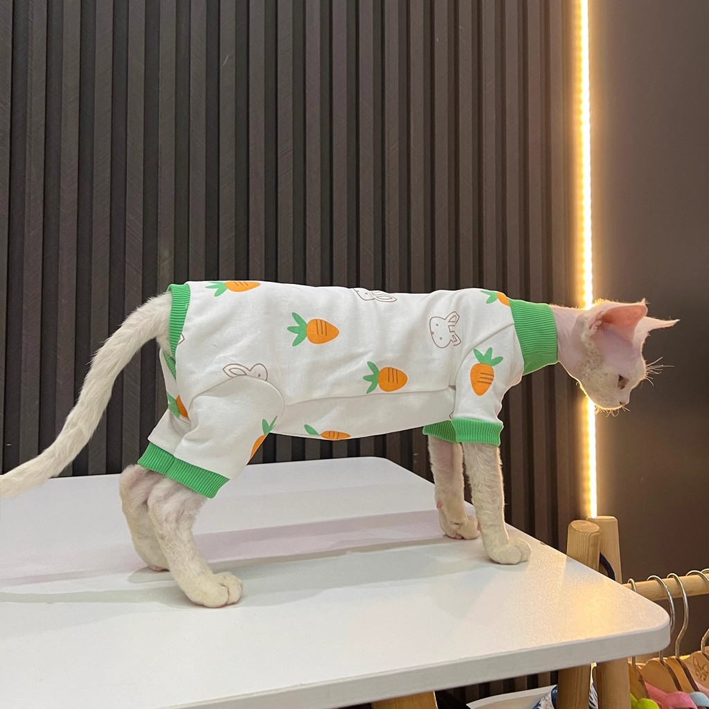 Cartoon four-legged clothes, carrots, bunny prints, hairless cat clothes, sphynx cats, devon,