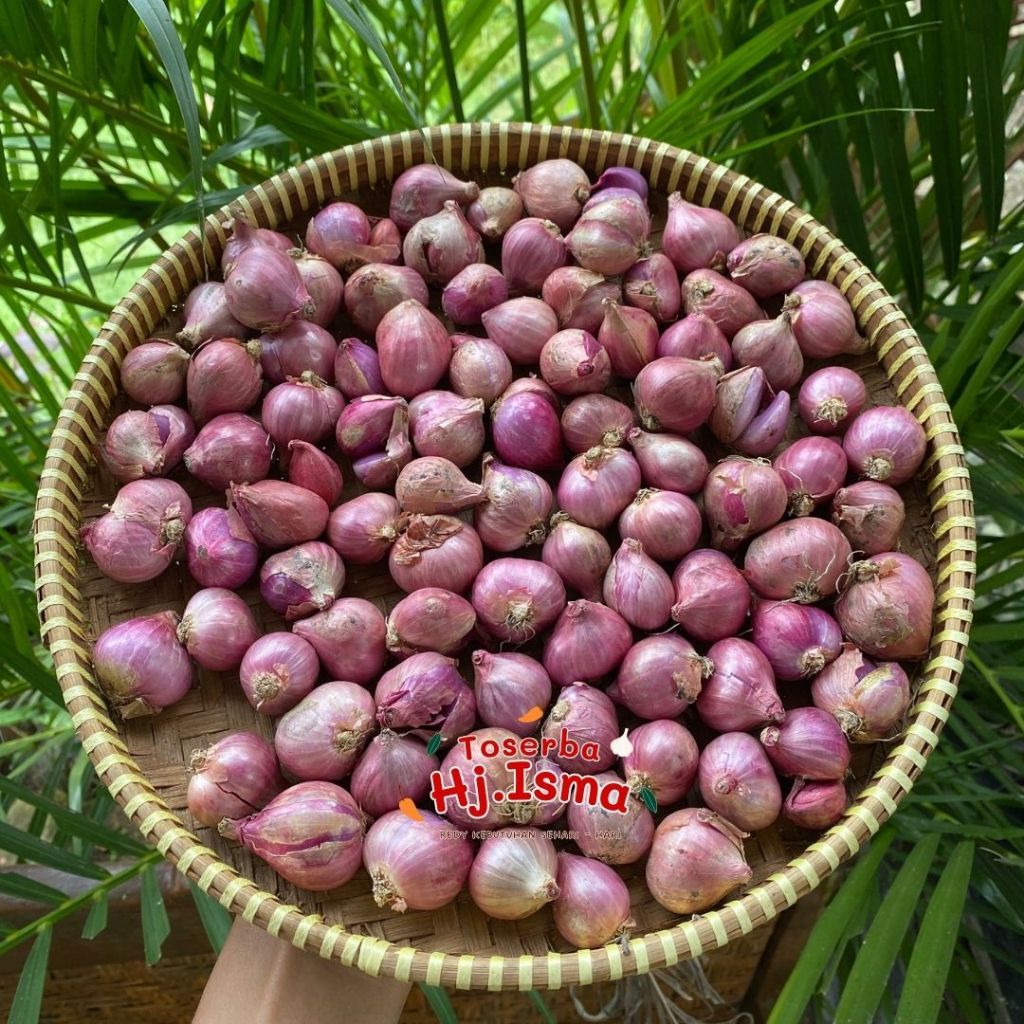 Bawang Merah Murah 1 Kg Jawa Timur