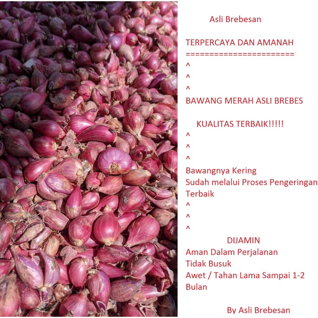 Jual Bawang Merah Brebes/Bawang Merah Asli Brebes