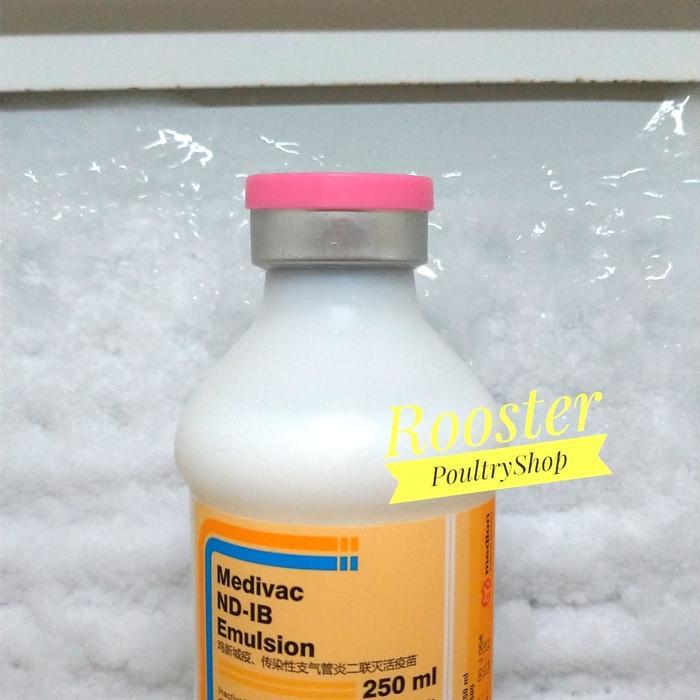 Medion Vaksinasi Vaksin Nd Ib Emulsion 250 Ml Untuk Ayam Pedaging Petelur Dan Pembibit Murah