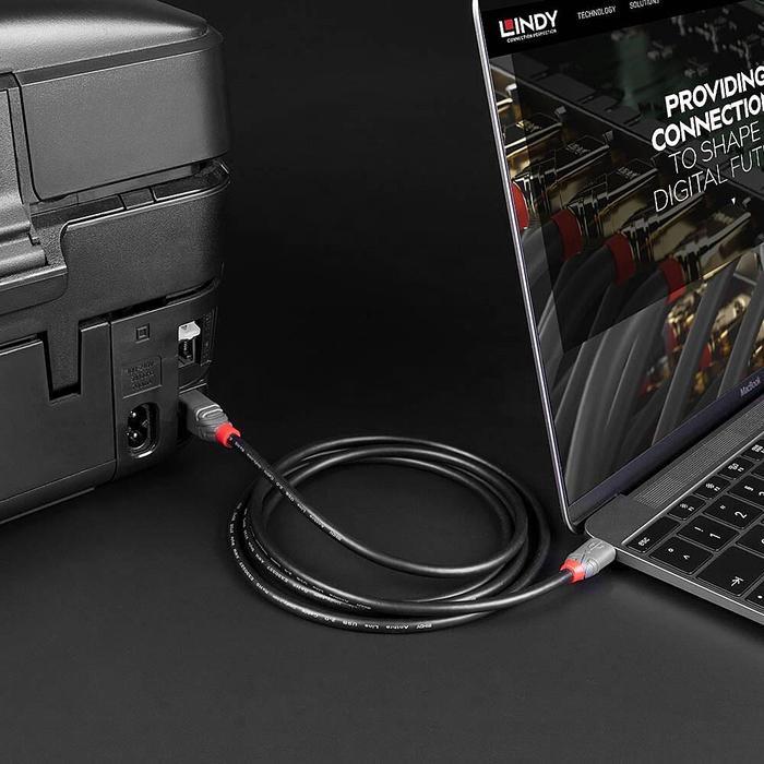 Kabel Printer & Audio Interface Lindy Usb 2.0 Type C To Type B Male To Male