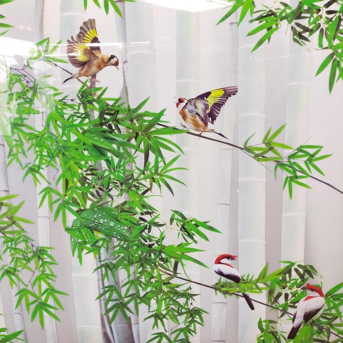 Fiber Pagar Plastik Penutup Pagar Motif Goldfinch Lebar 1 Meter Tebal 0.6 mm Bahan Lentur Flexible
