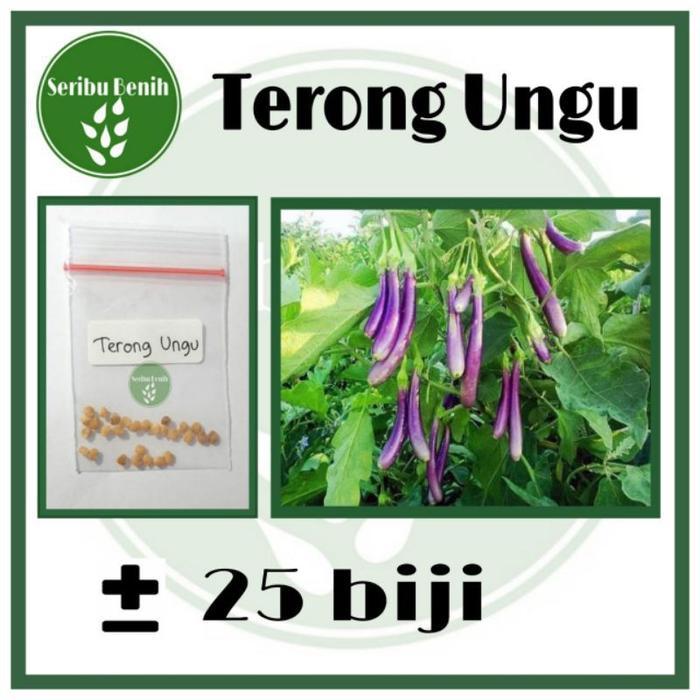 25 Benih Unggul Terong Ungu Panjang Gegana - Bibit Terong Repack Unggul [ SERIBU ]
