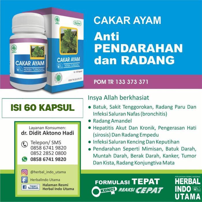 Cppetindo - Kapsul Cakar Ayam Hiu Menghentikan Pendarahan