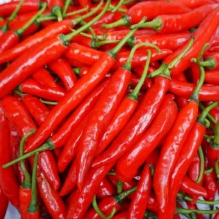 Benih Cabe Besar Merah [30 Butir] Sayuran Unggul Repack Siap Semai Bisa COD