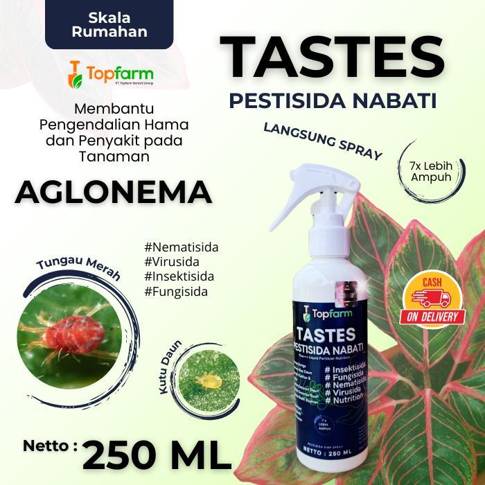 OBAT BERCAK DAUN AGLONEMA SPRAY / PESTISIDA PEMBASMI HAMA AGLONEMA / OBAT JAMUR TANAMAN AGLONEMA /