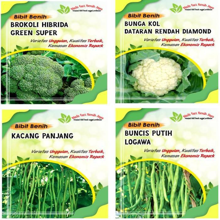 MURAH bibit Sayuran-benih Sayuran-benih bibit Sayuran-benih Sayur-bibit Sayuran benih Sayur Kangkung