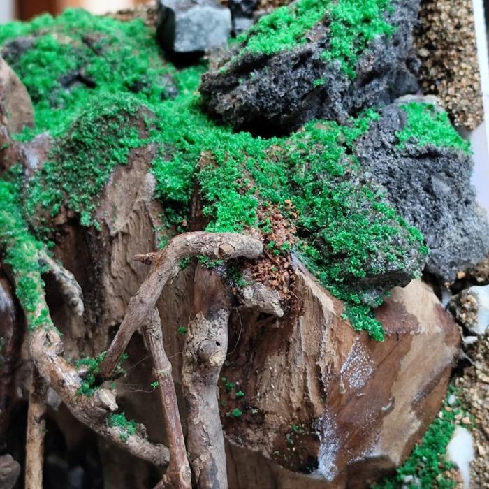 Lumut Moss Sintetis Artificial Aquascape Aquarium Terarium Paludarium Tahan Lama Anti Luntur