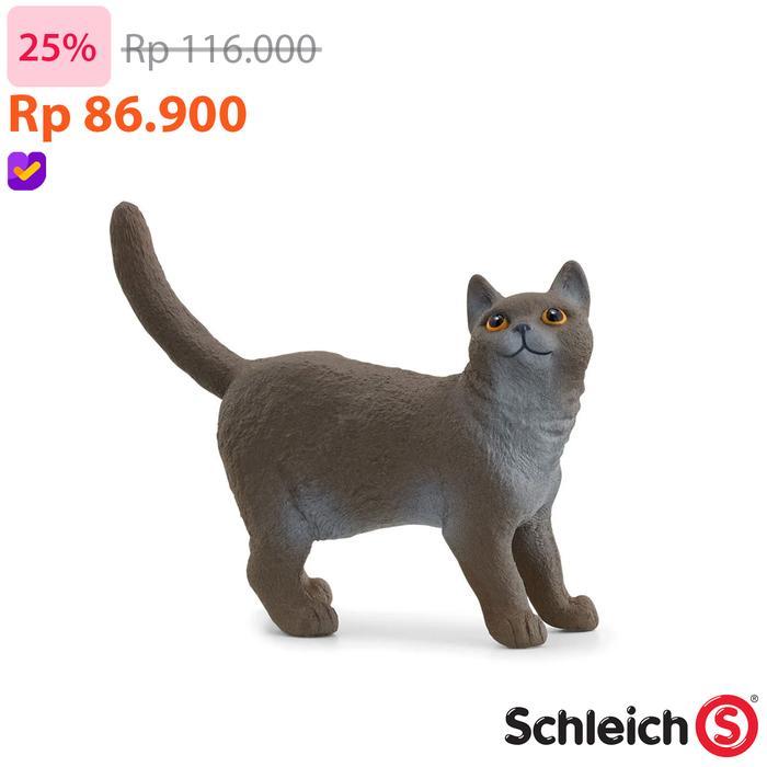 Schleich British Shorthair Cat - Animal Figure Original Koleksi Mainan Pajangan Hewan High Quality