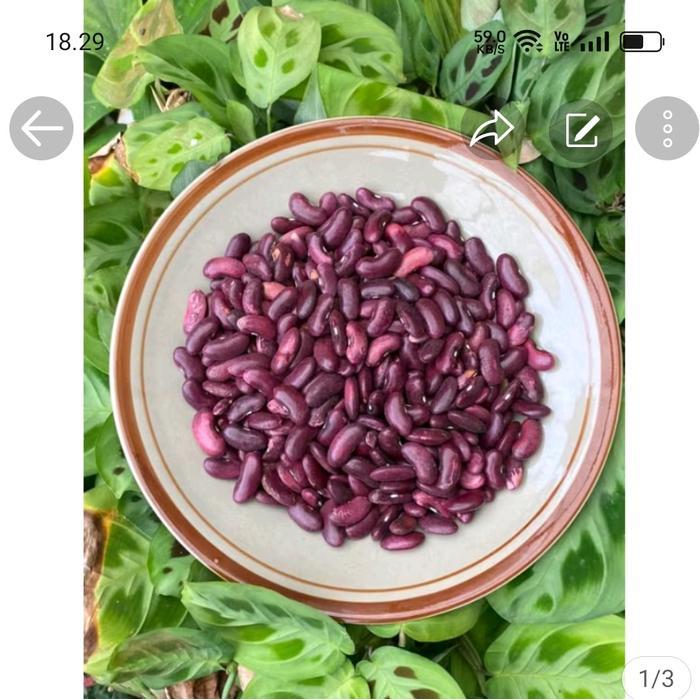 kacang merah kering 1 kg fresh