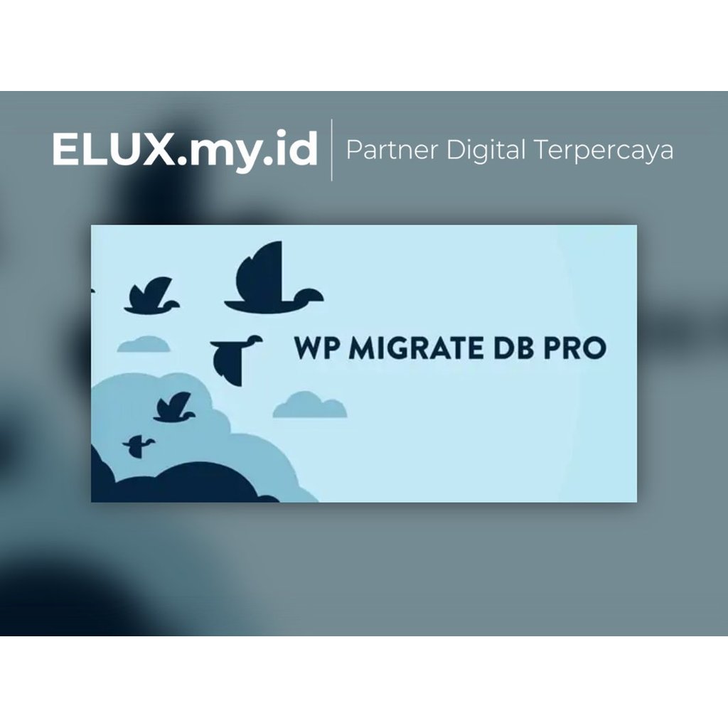 WP Migrate Db Pro - Push Pull Your Wordpress Database & Files Plugin Original Unlimited Domain Lifet