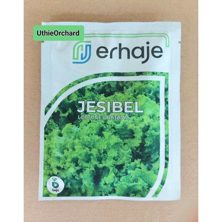 Benih Bejo Seed - Selada Batavia Jesibel Kemasan 1000 pills