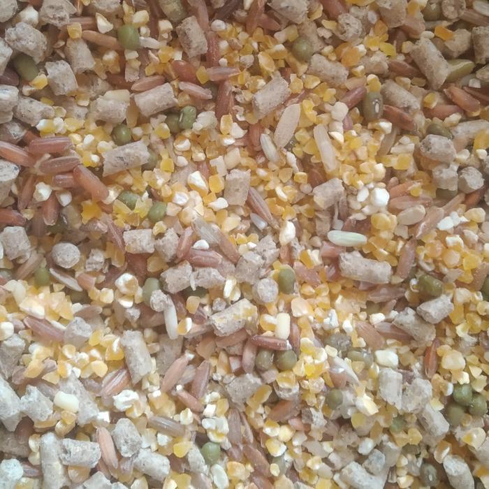 Cppetindo - Pakan Harian Ayam Poland/Makanan Harian Ayam Hias Poland Jambul