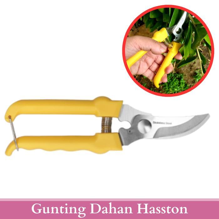 RAJA INDO GUNTING DAHAN RANTING TANAMAN POHON TINGGI GUNTING DAHAN HASTON