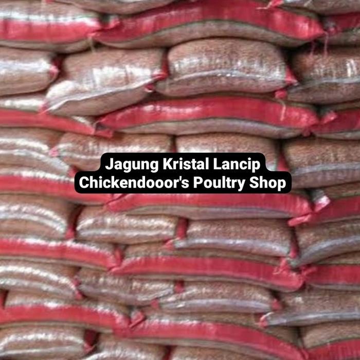 Promo Jagung Lancip Burung Dara Merpati Kolong Tomprang Pos Kristal 25 Kg
