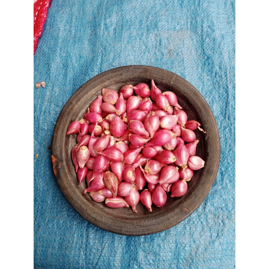 bawang merah kecil gerusan