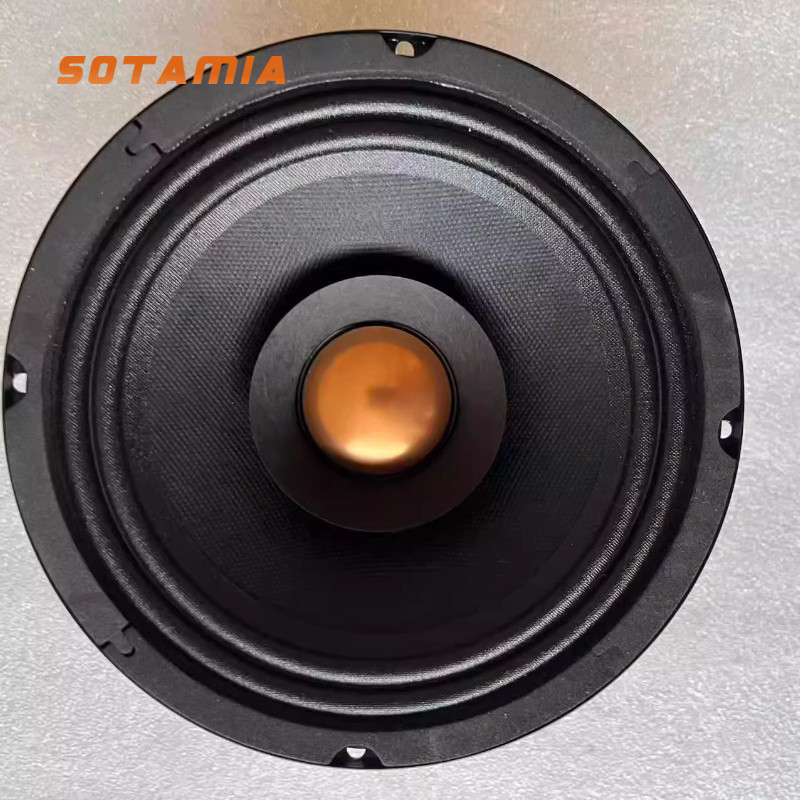 SOTAMIA 1PCS 6.5 Inch Full Range Speaker 4 Ohm True Alnico Magnetic True Full Range Balanced Tone