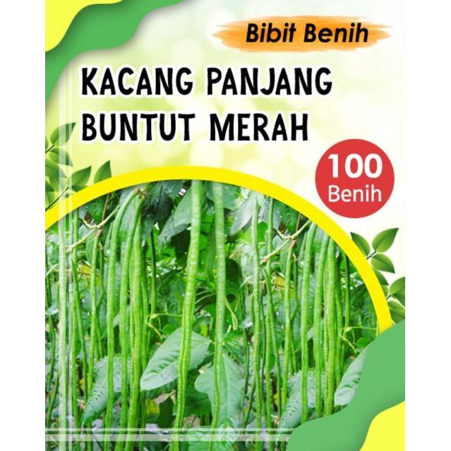 BIG SALE Benih kacang panjang 100 biji buntut merah - bibit kacang panjang