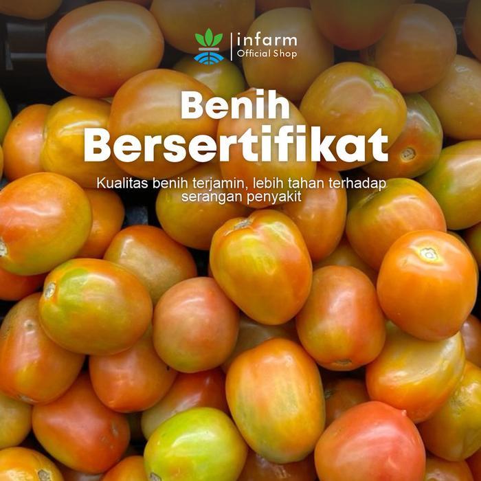 TERPERCAYA INFARM - Benih Tomat Cormato Unggul, Bibit Buah Tomat Besar Hibrida Bibit Tomat Premium