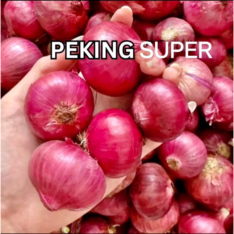 bawang merah peking india  termurah bawang peking