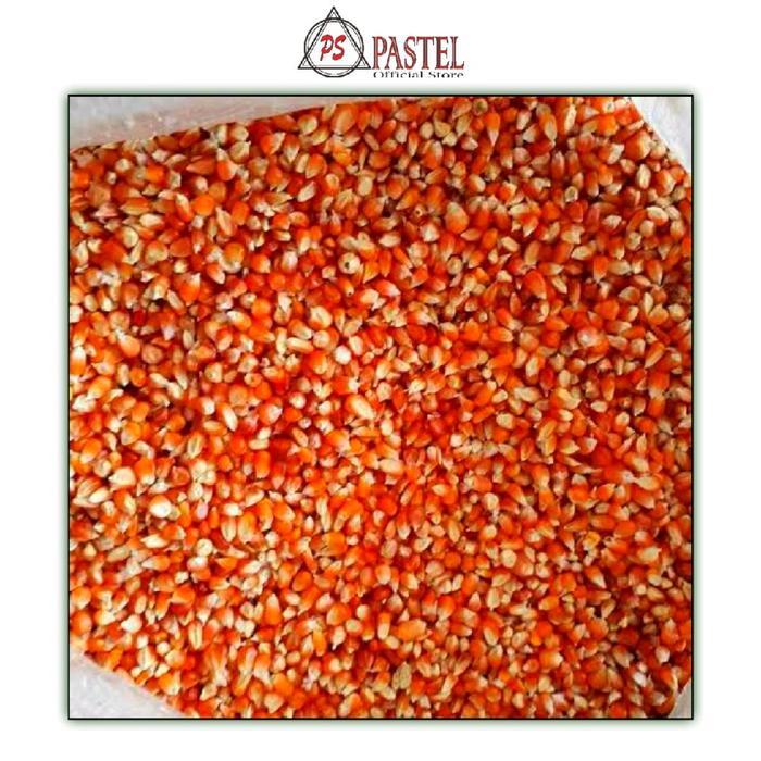 PS ~ Jagung Kristal Super Pakan Ternak Super Pakan Merpati Pakan Ayam Pakan Bagus