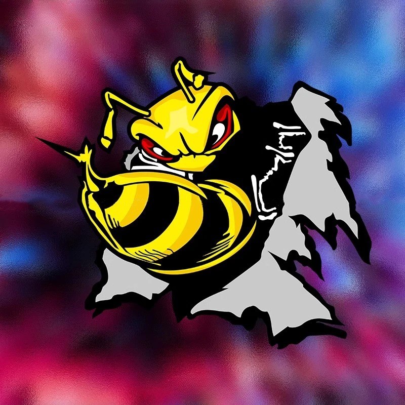 1PC Angry Bumblebee Motorcycle Stickers Waterproof for Motorbike Fuel Tank Helmet Fairing Electric