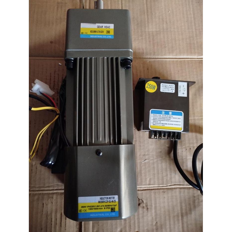 AC motor with brake gearbox 220V 250W Variable Speed Control