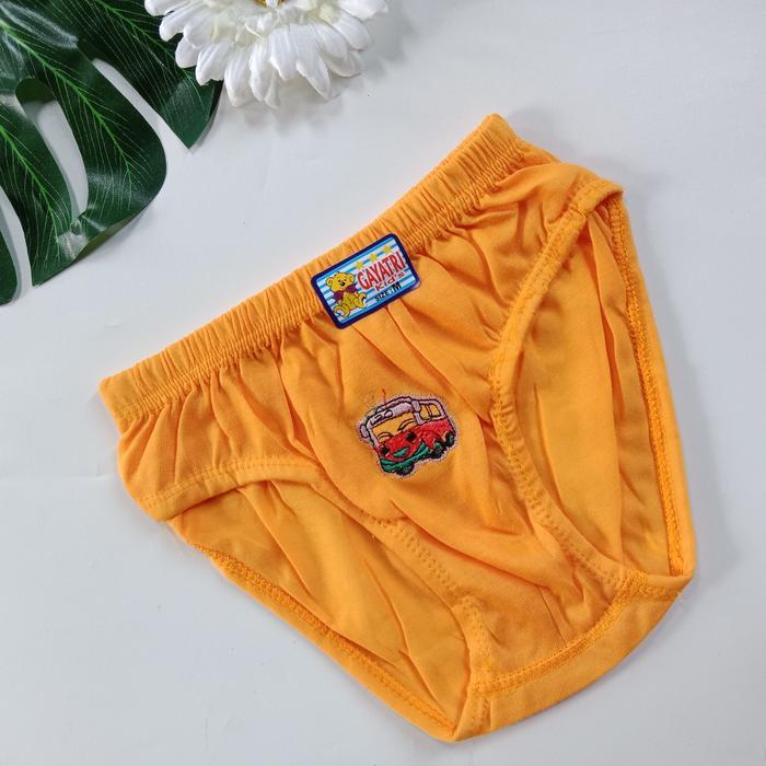 12 Pcs Cd Bordir Sempak Celana Dalam Anak Cowok Warna Motif Kartun Fashion