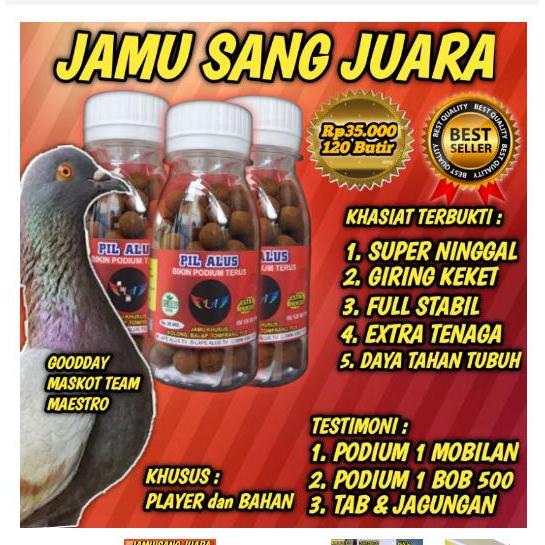 Jamu Merpati Kolong Tinggian #Gratisongkir