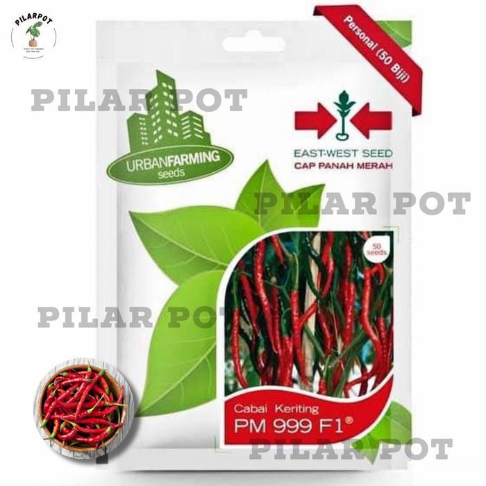 "New" benih bibit cabe keriting PM 999 F1 cap panah merah - CABAI PM 999 F1