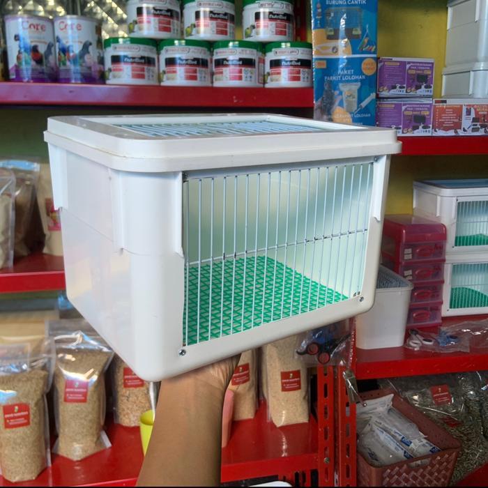 Paket Murah Burung Lolohan Box Terrarium Pakan Spet #Gratisongkir