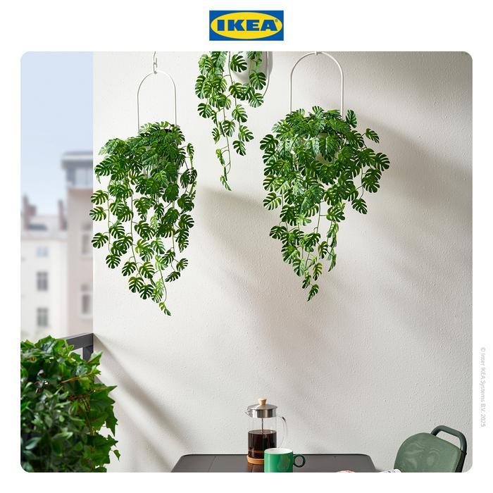 TERBARU IKEA FEJKA Tanaman Hias Palsu Gantung Dalam Pot Monstera 9cm